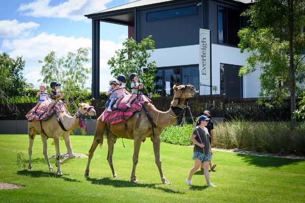 Everleigh Community Newsletter