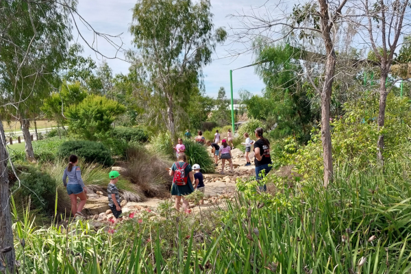 Everleigh Community Newsletter
