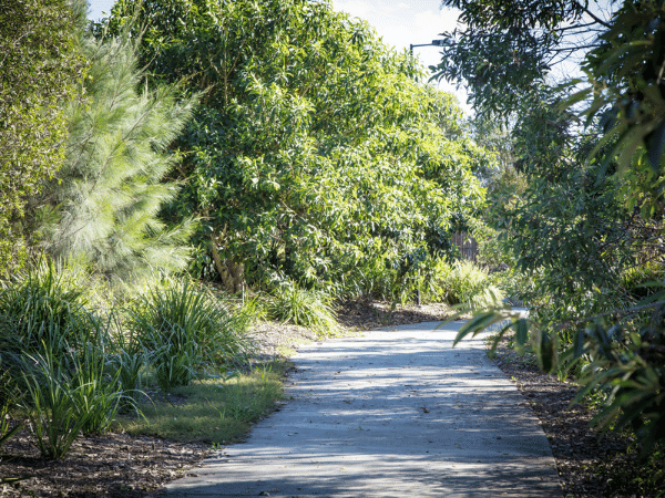 Spring Mountain Forest Park