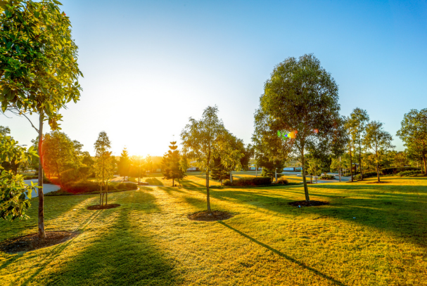 Future Everleigh Park